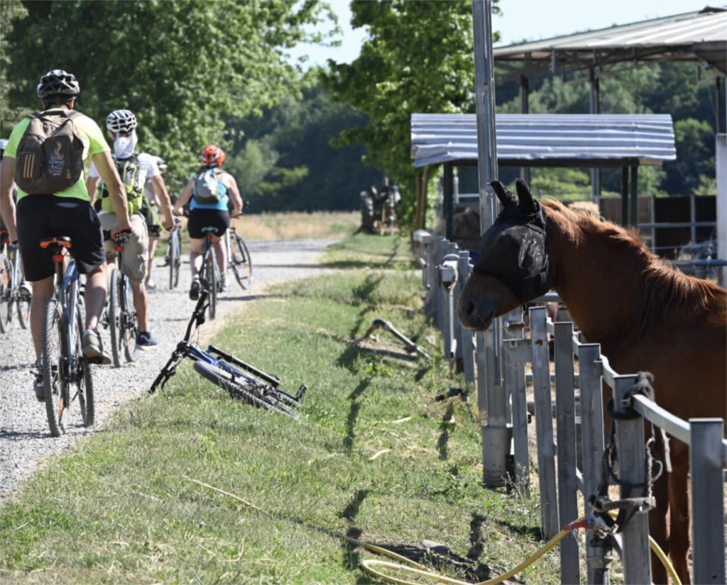 TOUR DELLE CICOGNE IN BIKE - BARAGGIA -